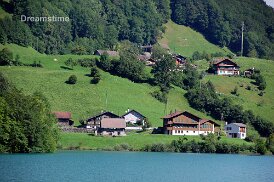 Typical Swiss houses Typical Swiss houses along a lake
