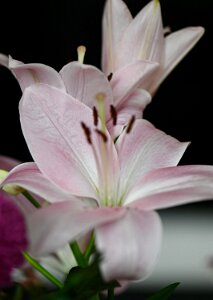 Macro_Mar 28 (14.31)