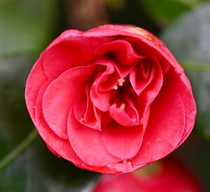 Macro_Mar 28 (14.56)