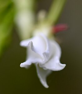 Macro_Jun 01 (12.33)