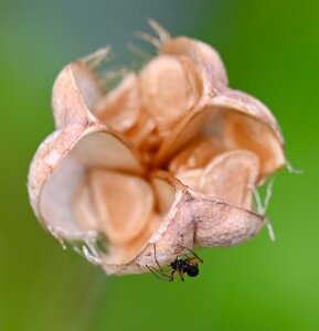 Macro_Jun 02 (15.24)