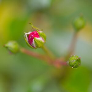 Macro_Jun 03 (15.10)